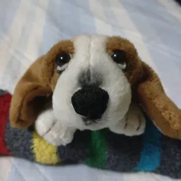 허시파피 브라운 & 화이트 강아지 봉제 인형