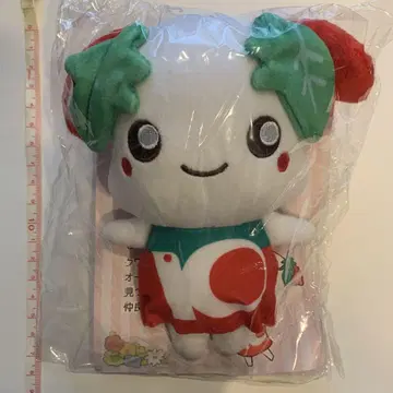미개봉 새상품 오크와 쿠와노미짱 봉제 인형 당선품