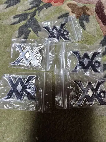 레페젠 지구 메탈 핀 배지 5개 세트