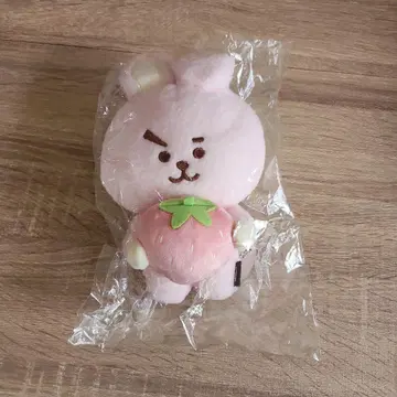 BT21 후르츠 봉제 인형 M COOKY