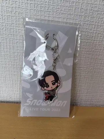 Snow Man LIVE TOUR 2022 메구로 렌 스노치루