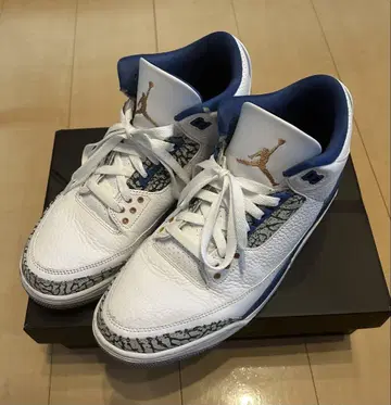 Air Jordan 3 True blue & Copper 위저즈