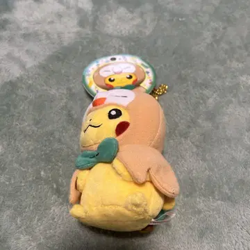 모쿠로 판초의 피카츄