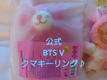 V 태현 FRIENDS Bear Keyring 곰 태태