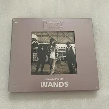 complete of WANDS CD