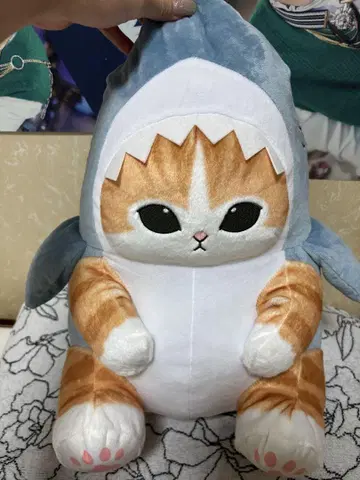 모프샌드 상어냥 봉제인형 약 30cm