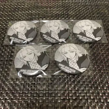 WIND BREAKER 키류 미츠키 랜덤 원작 컷 캔뱃지
