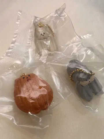 Maison terrier 가챠가챠 3개