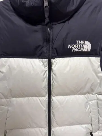 THE NORTH FACE 다운 베스트 한정 컬러