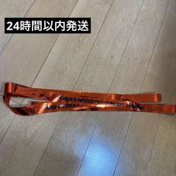 SEVENTEEN 세븐틴 호시 우지 은색 테이프