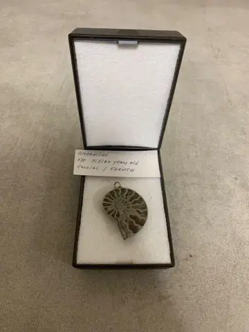 G0807-10 암모나이트 펜던트 프랑스제