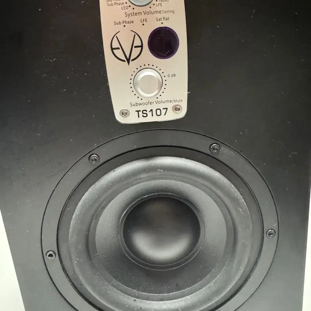 Subwoofer Eve Audio TS107 - Altoparlante Attivo 100W | Risposta 33-150Hz - Foto 6