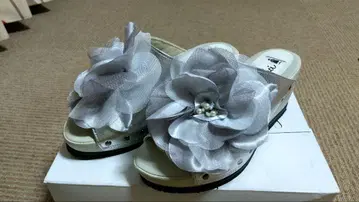 사에라 벨파치 뮬