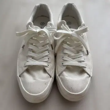 spectupsshoeco