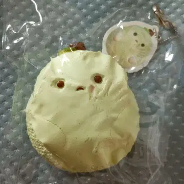 새상품 도톰한 배 스퀴즈