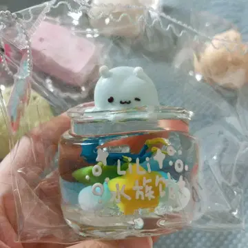 새상품 투명 아쿠아리움 스퀴즈