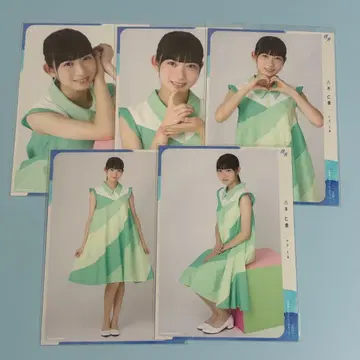 야기 니치카 5종 컴프