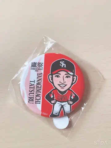 영건 가챠 호크스 야나기마치 타츠 캔뱃지