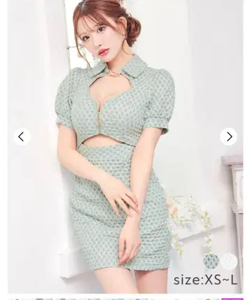 셔링 격자 프론트 지퍼 컷 아웃 카라 부착 반팔 타이트 미니 드레스