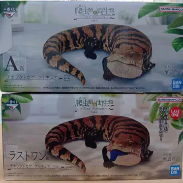 제일복권 파충류&양서류 A상 라스트원상 푸른혀도마뱀 종이상자 익명 배송