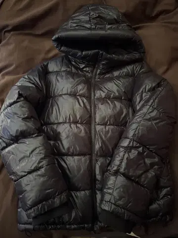 ZARA 스타일 반질반질 다운 UK.US 드릴 M 사이즈 [당일 발송]