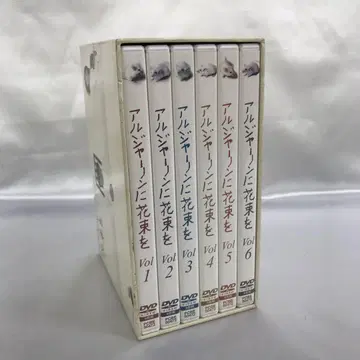 알제논에게 꽃다발을 DVD-BOX