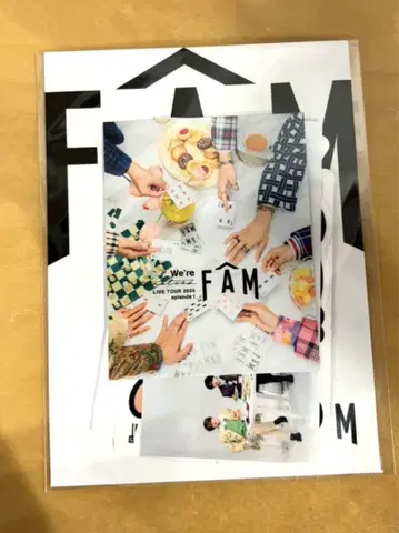 timelesz FAM 회장 한정 스티커 요코하마 아레나