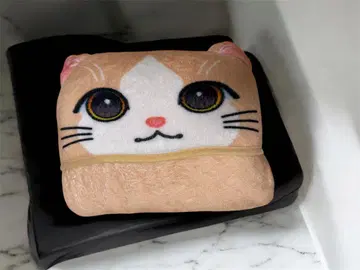 후지와라 이츠키 멘프로