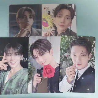 세븐틴 조슈아 포카