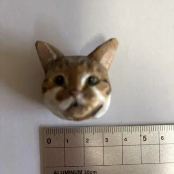 고양이 얼굴 브로치 반나이 료지