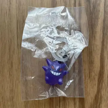포켓몬 메지루시 액세서리