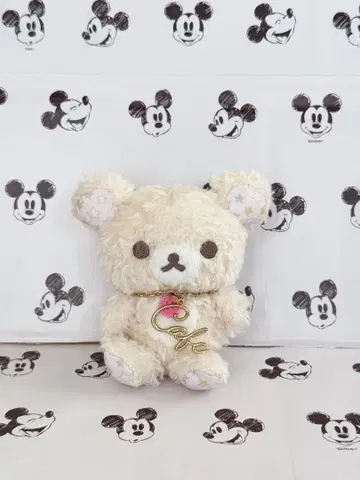 코리락쿠마 젤라피케 젤라토 콜라보