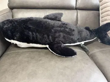 AMAZING OCEAN BIG 봉제 인형 백상아리