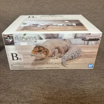 파충류&양서류 제일복권 B상
