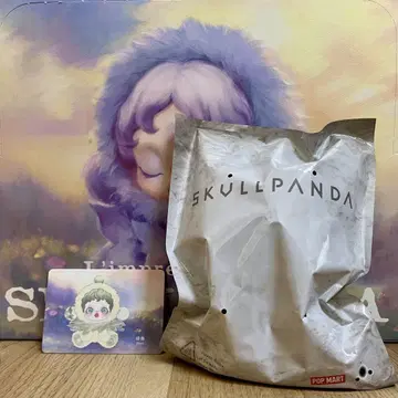SKULLPANDA 봉제 인형 Pond