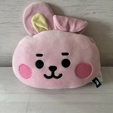 BTSBT21 차량용 넥커버