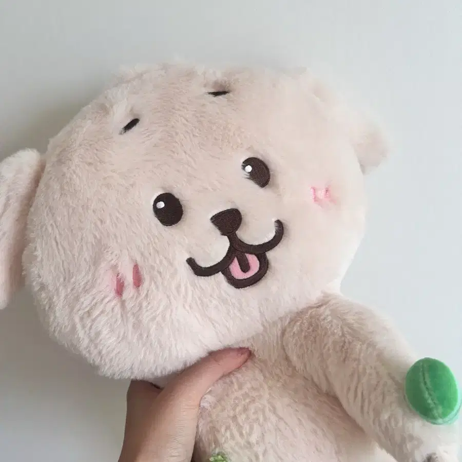 nctwish loginキャラクターバッグ ジェヒトレカ付 デントリバー nctwish loginキャラクターバッグ ジェヒトレカ付 デントリバー