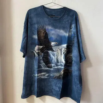 3DTees 이글 그래픽 티셔츠 구제 의류 타이다이 패턴 양호한 프린트