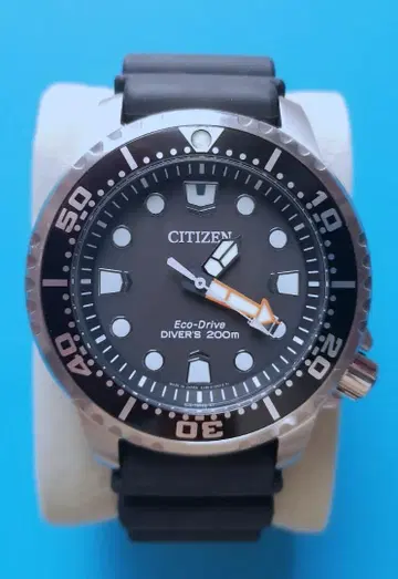 CITIZEN 프로마스터 에코 드라이브 블랙