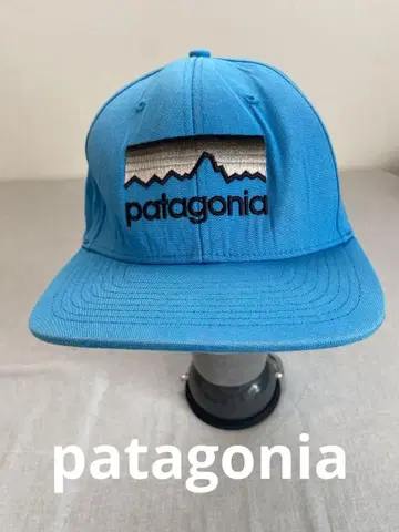 patagonia 캡 스카이블루