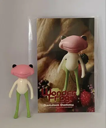 원더프로그 포춘완다 [ ]