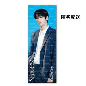 ACT : PROMISE txt popup 빅 사진 타월 수빈