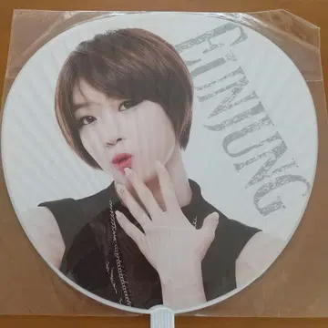T-ARA 은정 부채 TREASURE Box JAPAN 2013