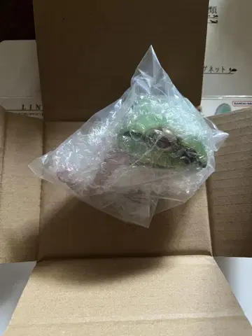 제일복권 파충류&양서류 D상 일본청개구리