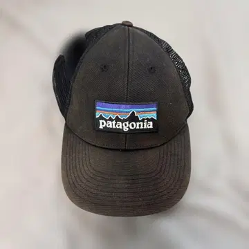 patagonia 브라운 메쉬 캡