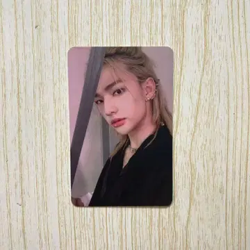 StrayKids IN 생 SUBK 매장 특전 앨범 트레이딩 카드 현진