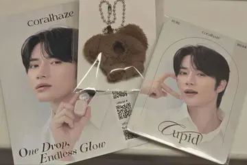 coralhaze 범규 포토 카드 곰