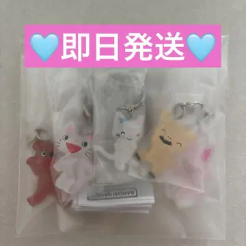 논탄 메지루시 액세서리 컴플리트