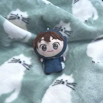 닌타마 도이 한스케 치비누이