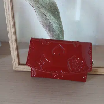 Kstarplus 레드 키케이스